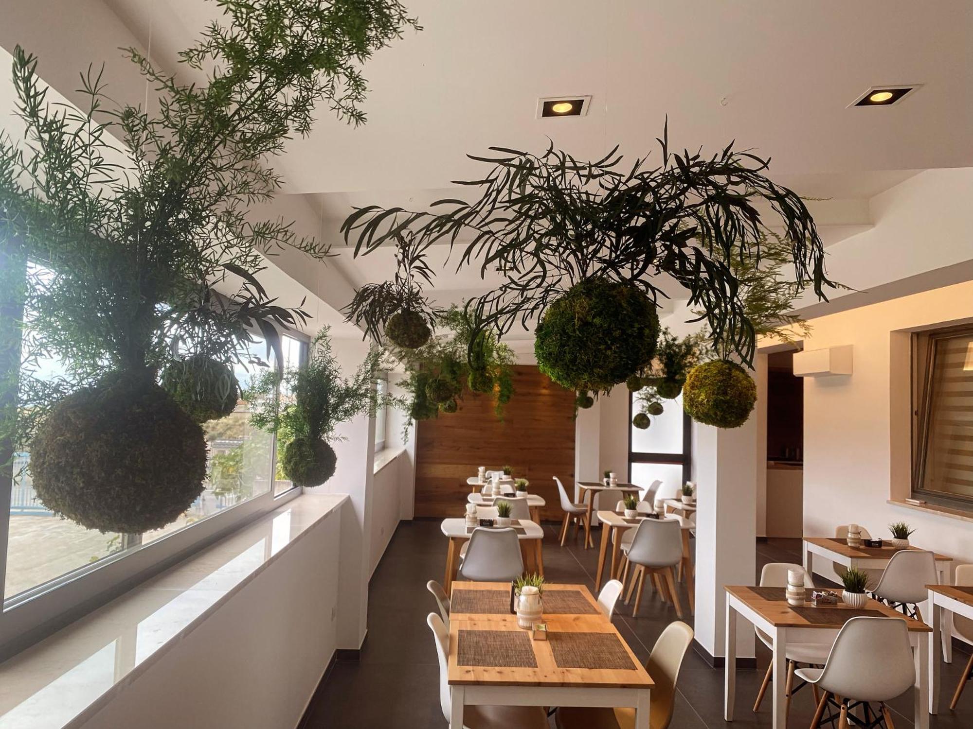 Moma Wellness &